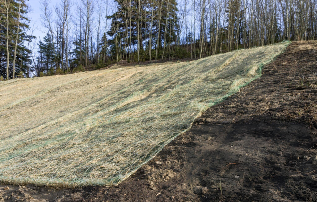 Soil Stabilization in Plantation, FL